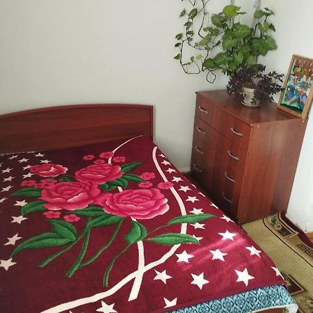 Guest House Sono Adress Derbisheva 202 카라콜 외부 사진