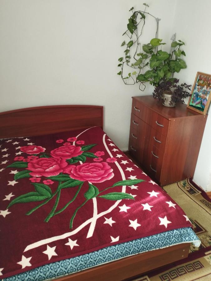 Guest House Sono Adress Derbisheva 202 카라콜 외부 사진